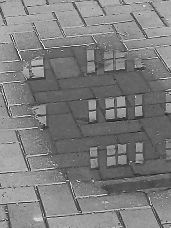 Office windows reflected in puddle on brick street thumbnail