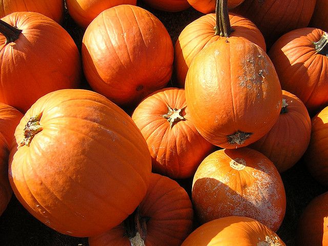 Pumpkins