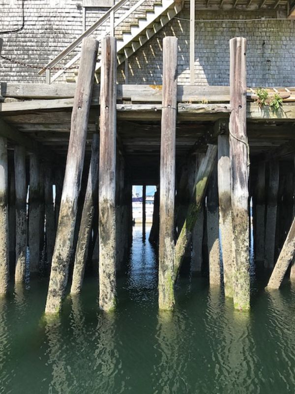 Under the pier thumbnail