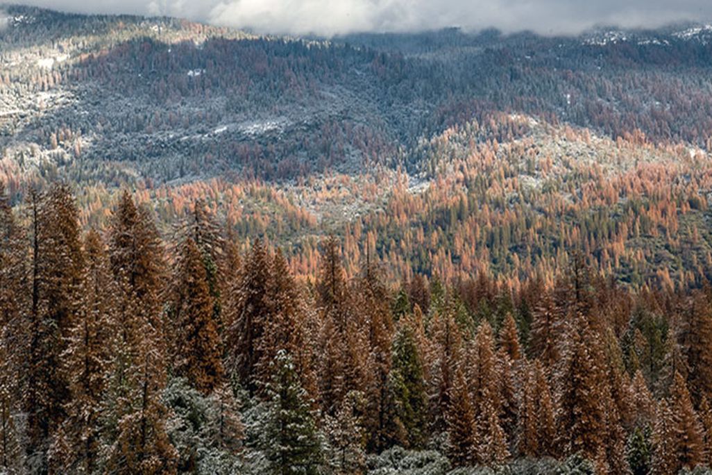 Dead Sierras