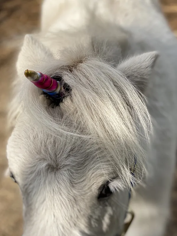 Unicorns do exist thumbnail