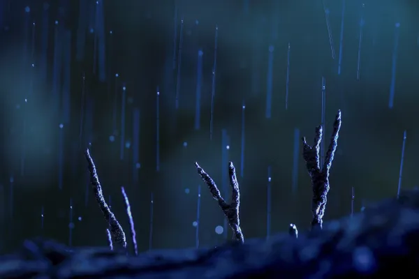 Whispers of Rain thumbnail