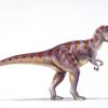 Paleontologists Are Still Unraveling the Mystery of the First Dinosaur icon