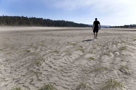 California’s exceptional drought has exposed the bottom of Big Bear Lake.
