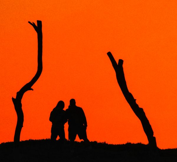 Selfie Silhouettes at Sunset thumbnail