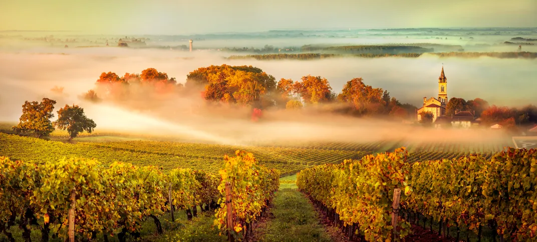 Bordeaux vineyard at sunset. Credit: AMA Waterways