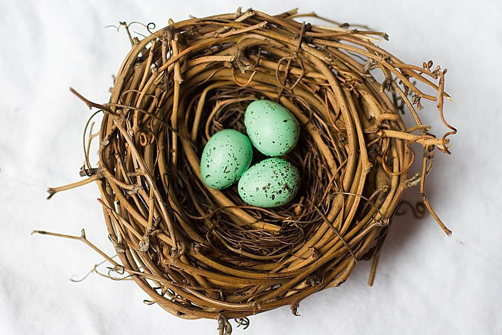 Nest