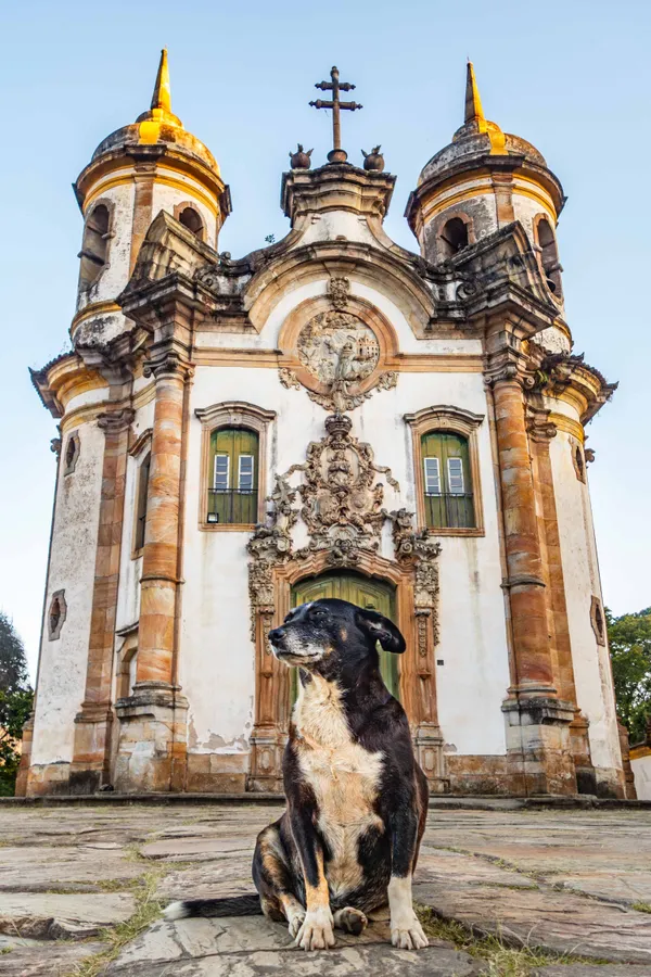 Dog and church thumbnail