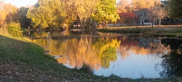 reflection of fall thumbnail