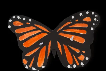 DACA monarch butterfly sign