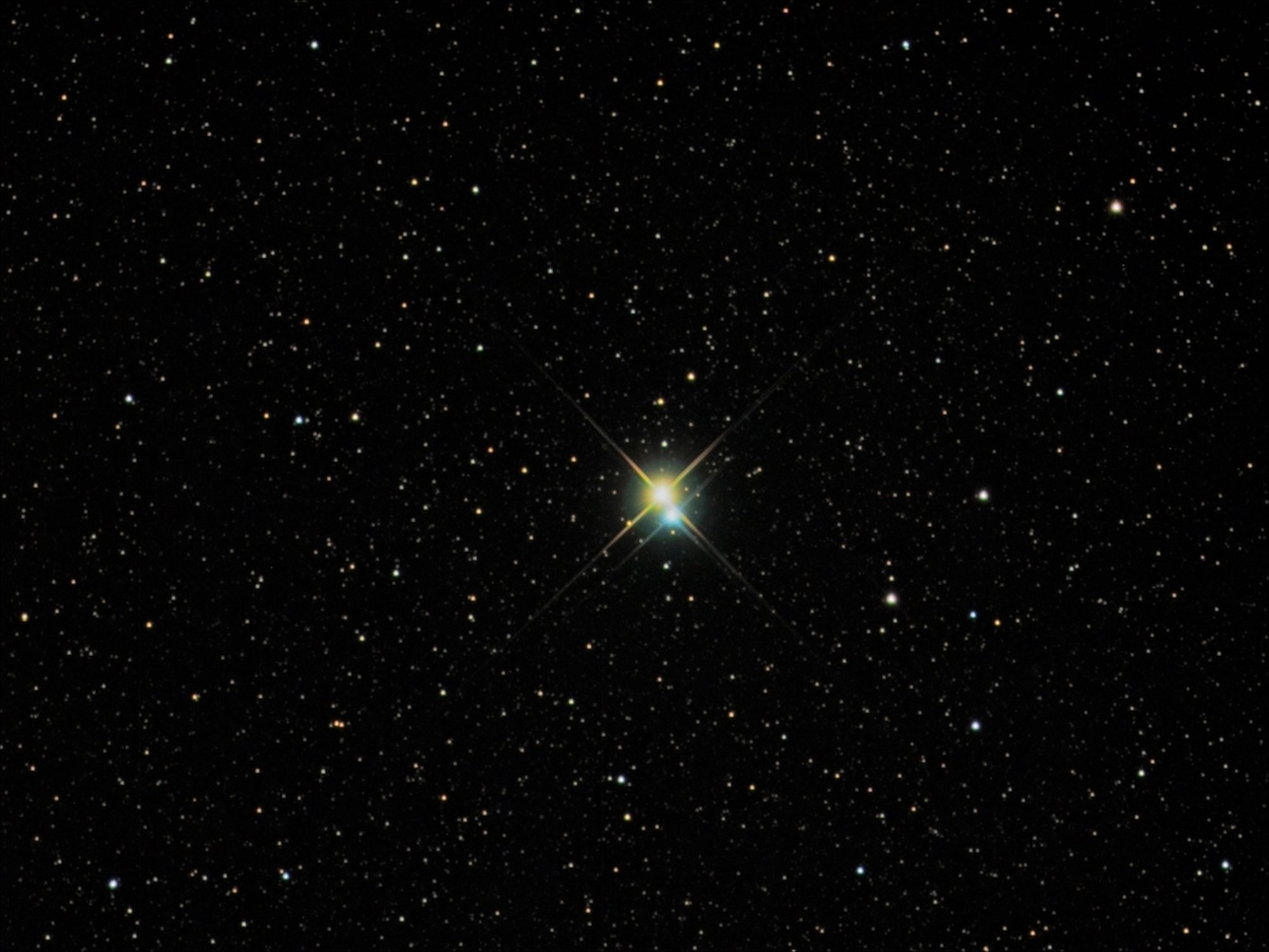 The Secret Lives of Cannibal Stars Revealed, Thanks to 15th Century ...