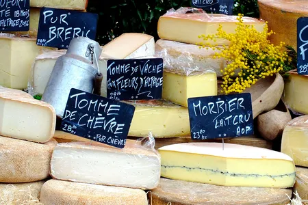Fungi and bacteria play a big part in shaping the flavor and texture of cheese.