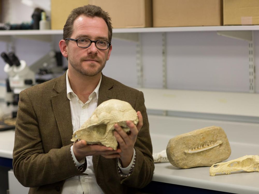 Paleontologist Nick Longrich