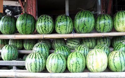 Delicious looking watermelons