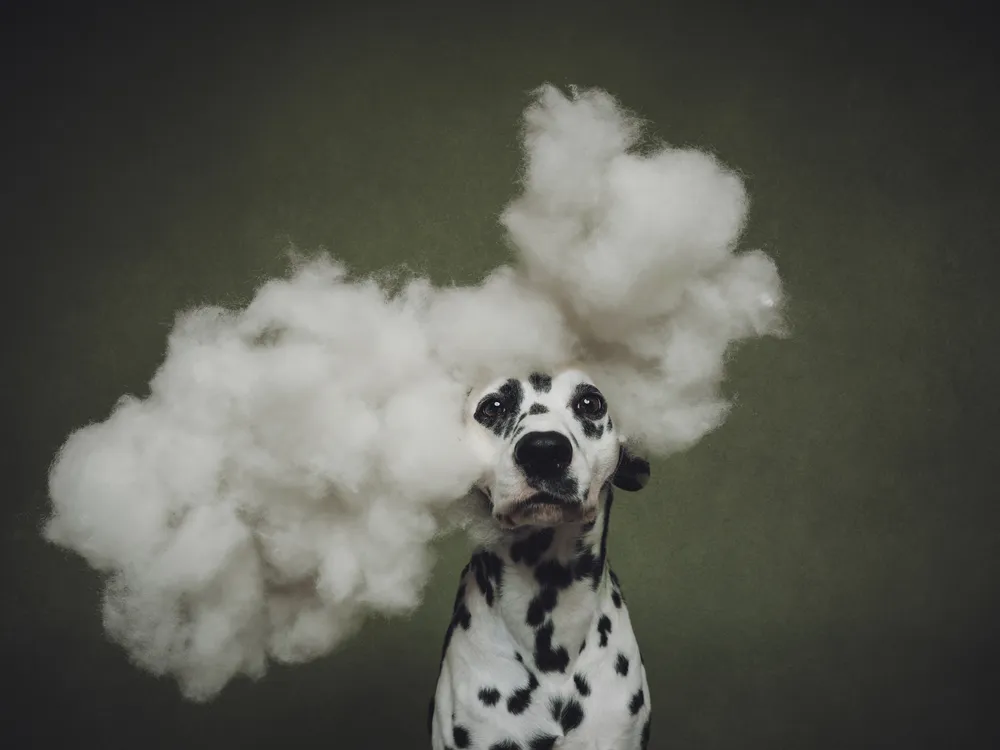 "Head in the Clouds"