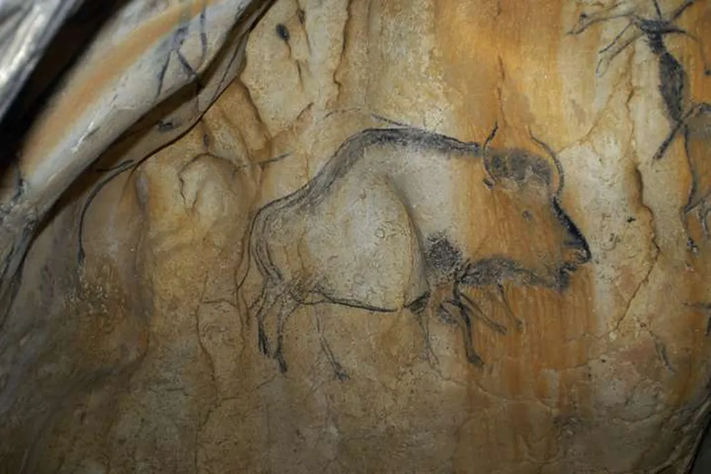 Bison Art