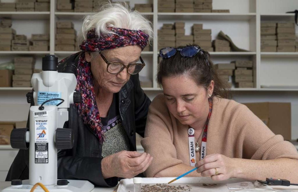 Sue O'Connor (left) and Shimona Kealy (right) study artifacts discovered in Timor-Leste