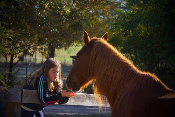 A special moment between my granddaughter and her favorite horse at the Anne Springs Close Greenway thumbnail