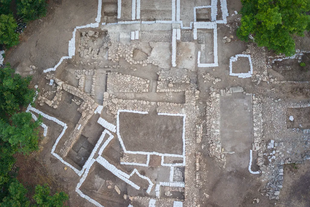 Palace excavation