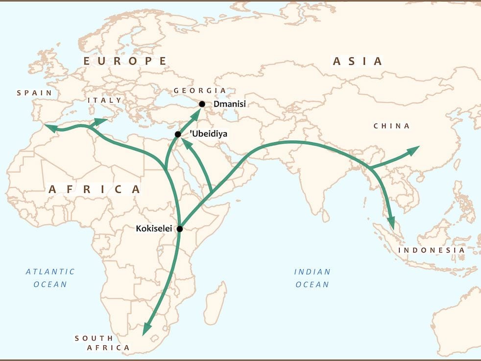 Homo Erectus Migration Map