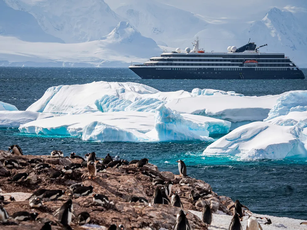 A large cruise ship sails in the ocean near Antarctica. In the foreground, a rocky shore is populated by numerous penguins. Behind them, several large icebergs float in the water. Snow-covered mountains rise in the background under a clear sky.