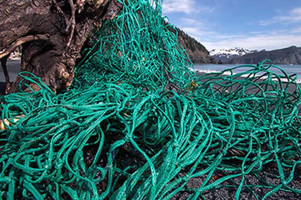 Fishing net at Alaska’s Gore Point