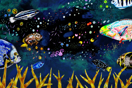 Coral illustrations
