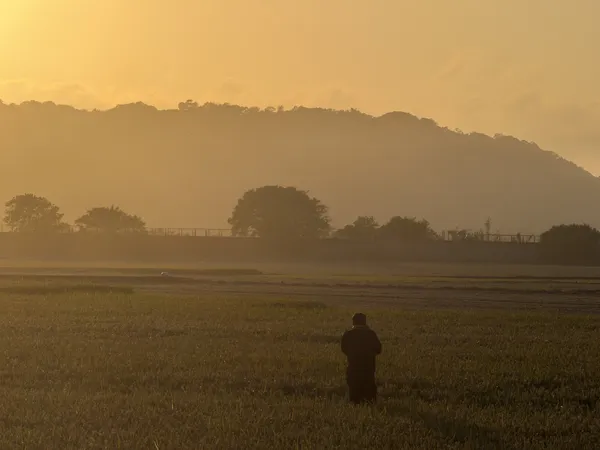 Golden hour thumbnail