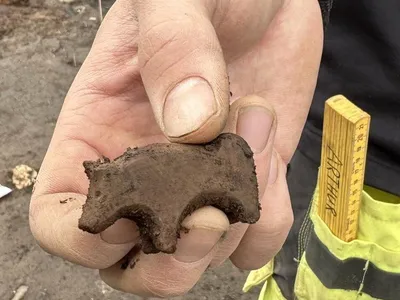 Reserachers believe Viking children once played with this animal figurine.