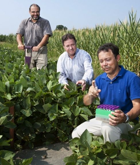 Researchers at the USDA’s expansive Beltsville Agricultural Research Center