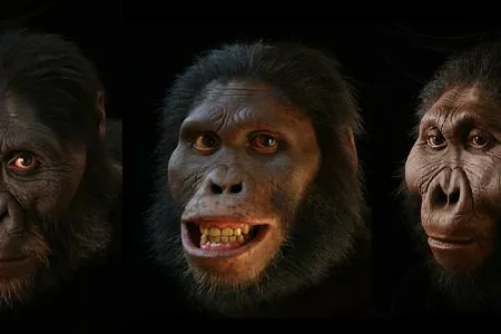 "Paleo-artist" John Gurche recreates the faces of our earliest ancestors, some of who have been extinct for millions of years.