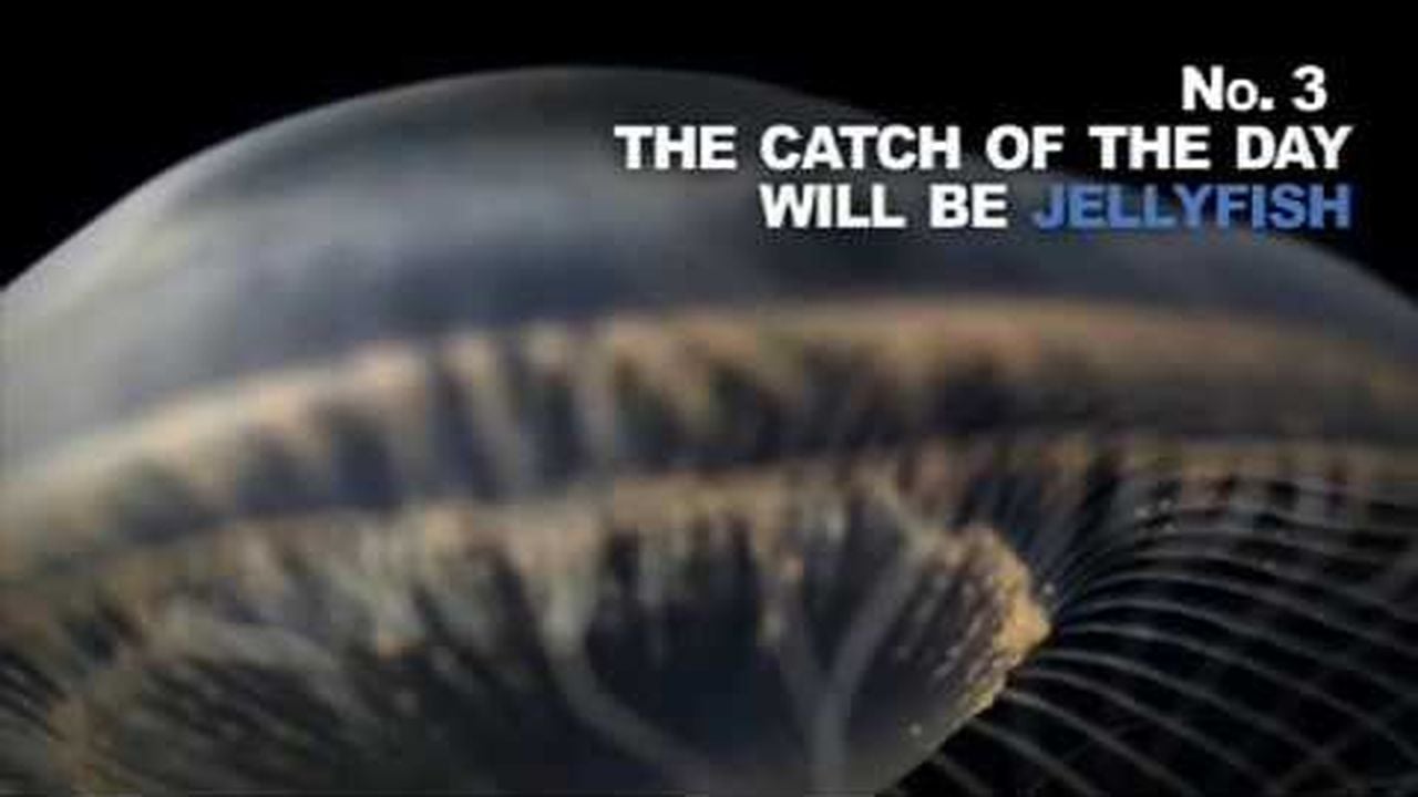 Preview thumbnail for Smithsonian 40 years