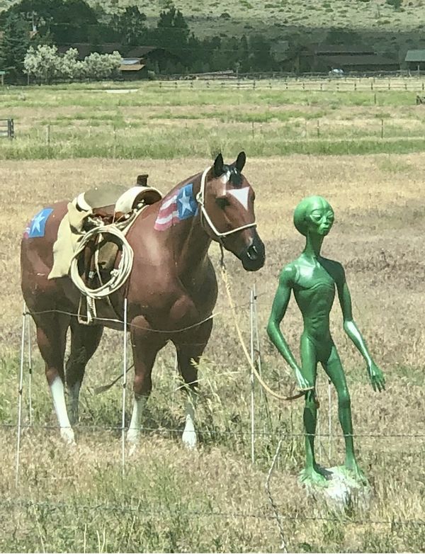 An alien and his horse thumbnail