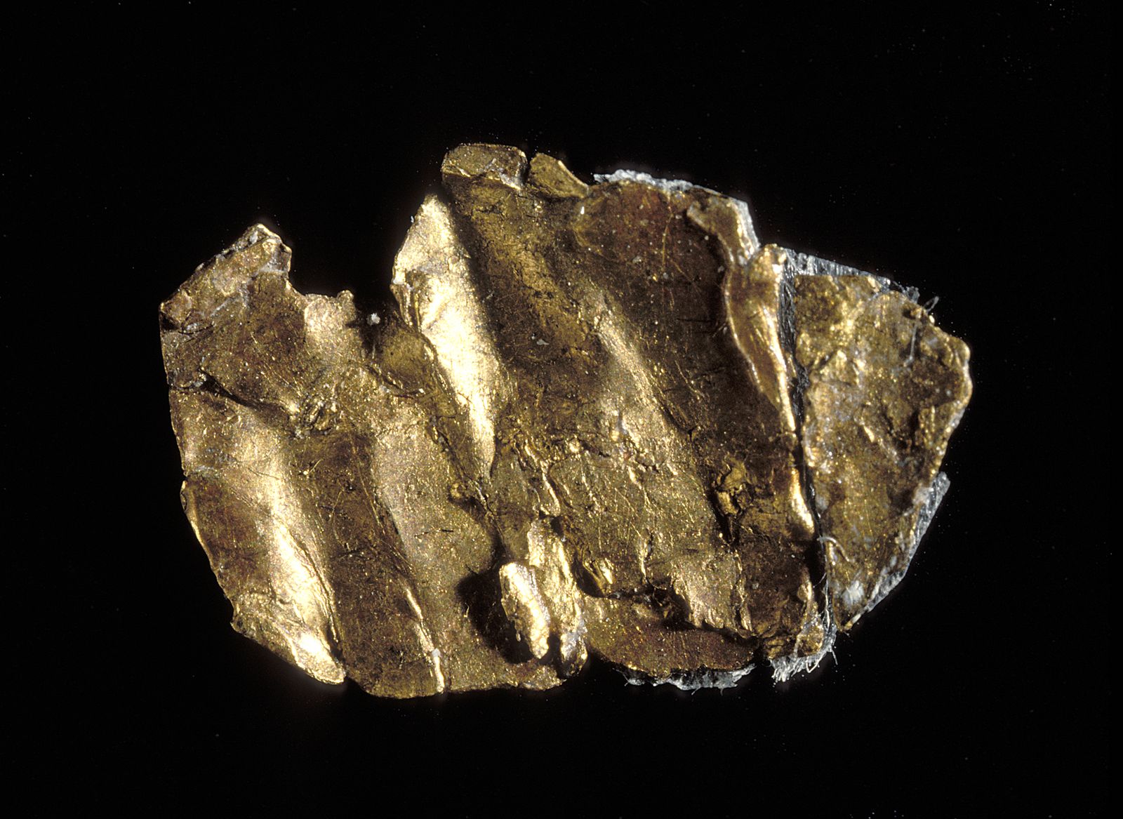 When a Carpenter in California Found a Nugget of Gold, It Started a Rush Toward Nothing Less Than the Modern World