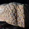 Earthquake in Mexico City Reveals 500-Year-Old Aztec Snakehead icon