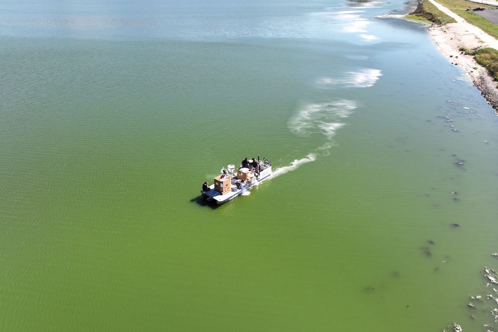 BlueGreen Water Technologies treats Doctors Lake in Florida