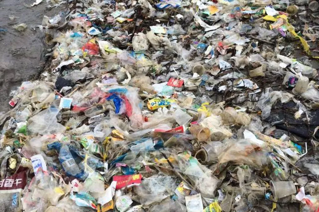 Hong Kong Trash