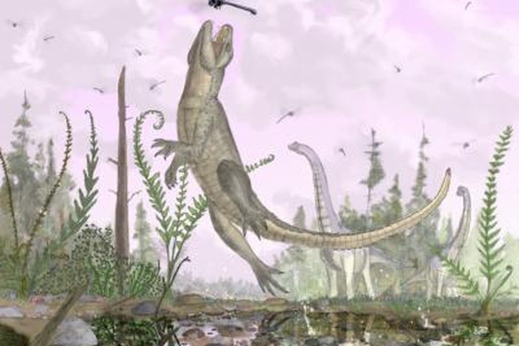 20110520102402jumpingcroc.jpg