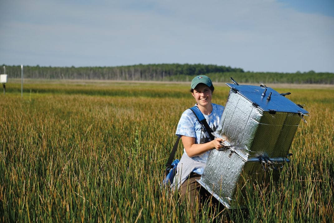 A woman carries a scientific device in the marsh