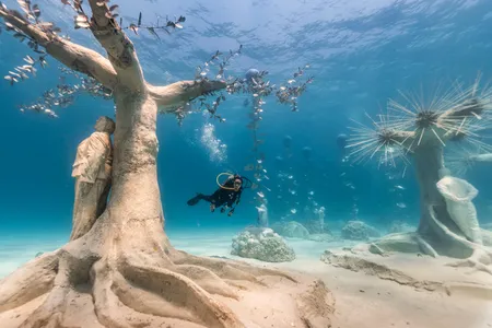 The museum's sculptures promote coral growth and will eventually serve as homes for sea creatures.