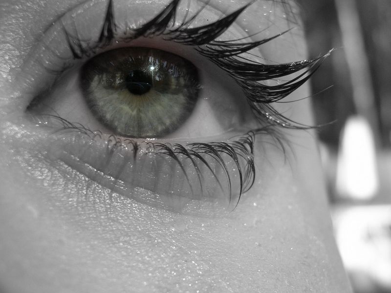 Eyes wide open Smithsonian Photo Contest Smithsonian Magazine