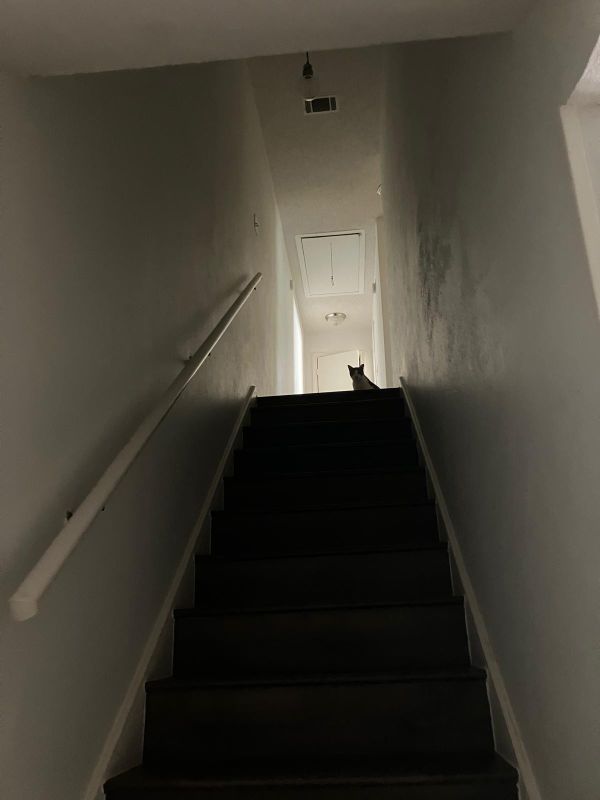 Alfred Hitchcat thumbnail