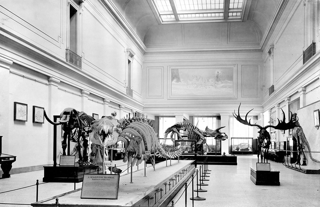 Hall of Extinct Monsters, Smithsonian, 1911