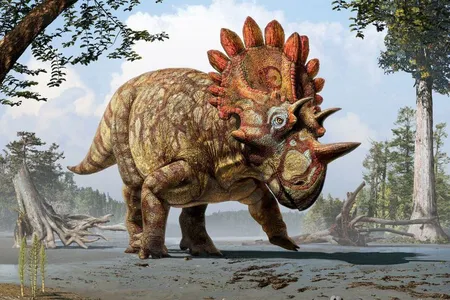 Regaliceratops peterhewsi, the “Hellboy Dinosaur”