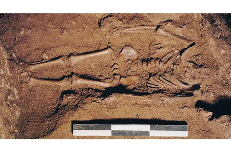 The infant&#39;s skeleton was excavated in 1998 in a cave in Puglia.