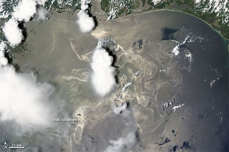 Oil hangs in the water following the blow-out of the Macondo well, June 19, 2010.