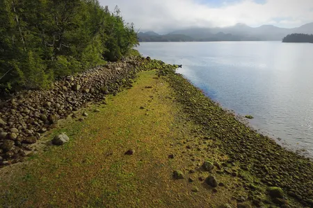 On Calvert Island, British Columbia, the subtle rock line of an extant clam garden is a reminder of how Indigenous peoples turned the sea into a shellfish garden.