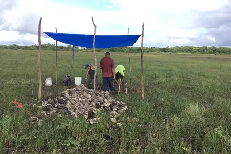 A 2019 drought allowed researchers to excavate some of the typically waterlogged canals.