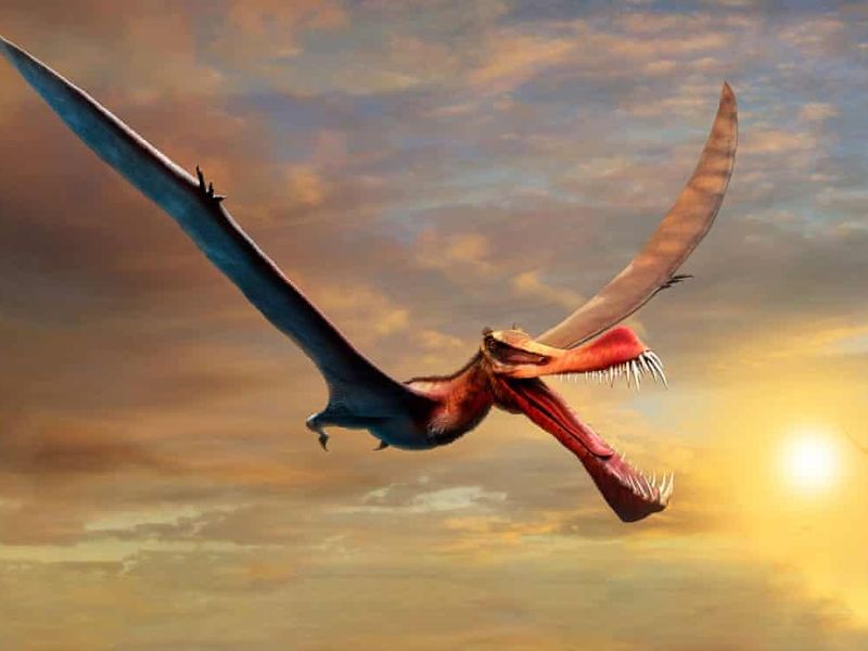 What are flying dinosaurs called?