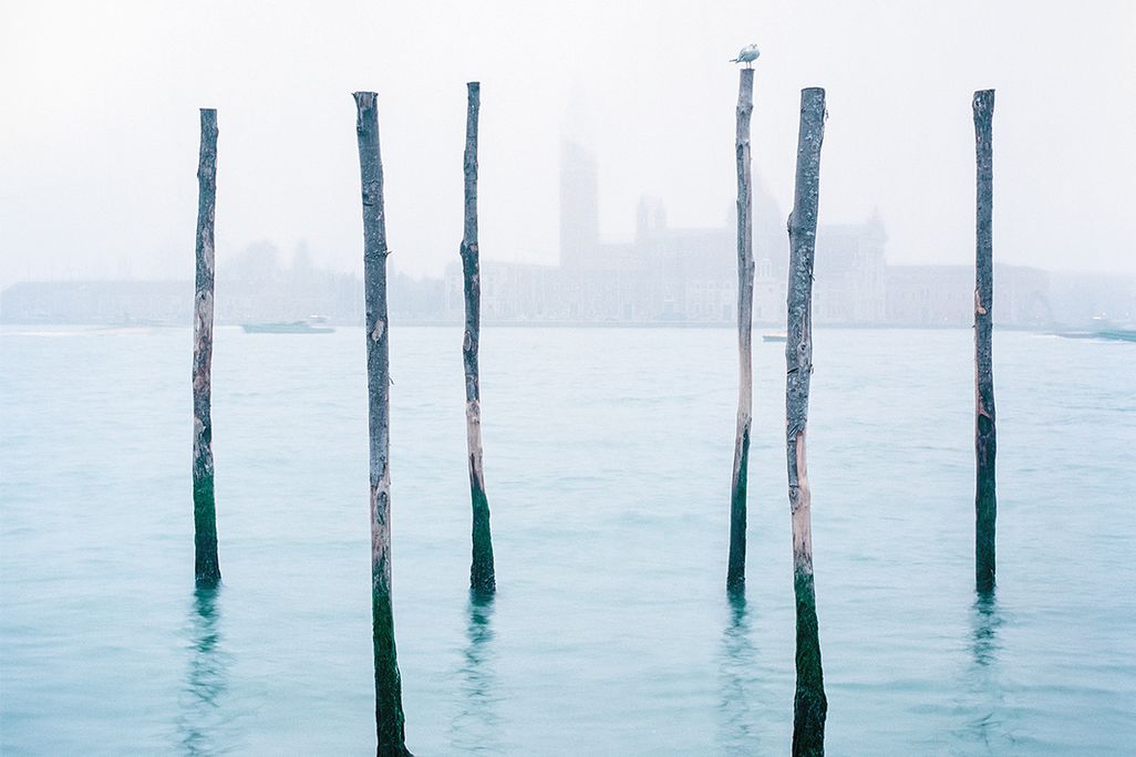 SQJ_1510_Venice_BRODSKY_03.jpg